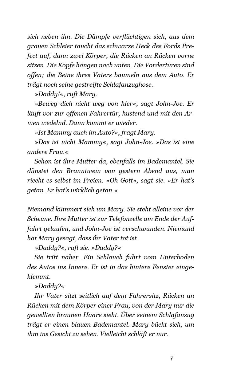 Beispielinhalt (Bild) Rückkehr nach Irland