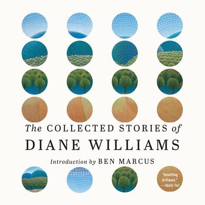 Vorderes Coverbild The Collected Stories of Diane Williams