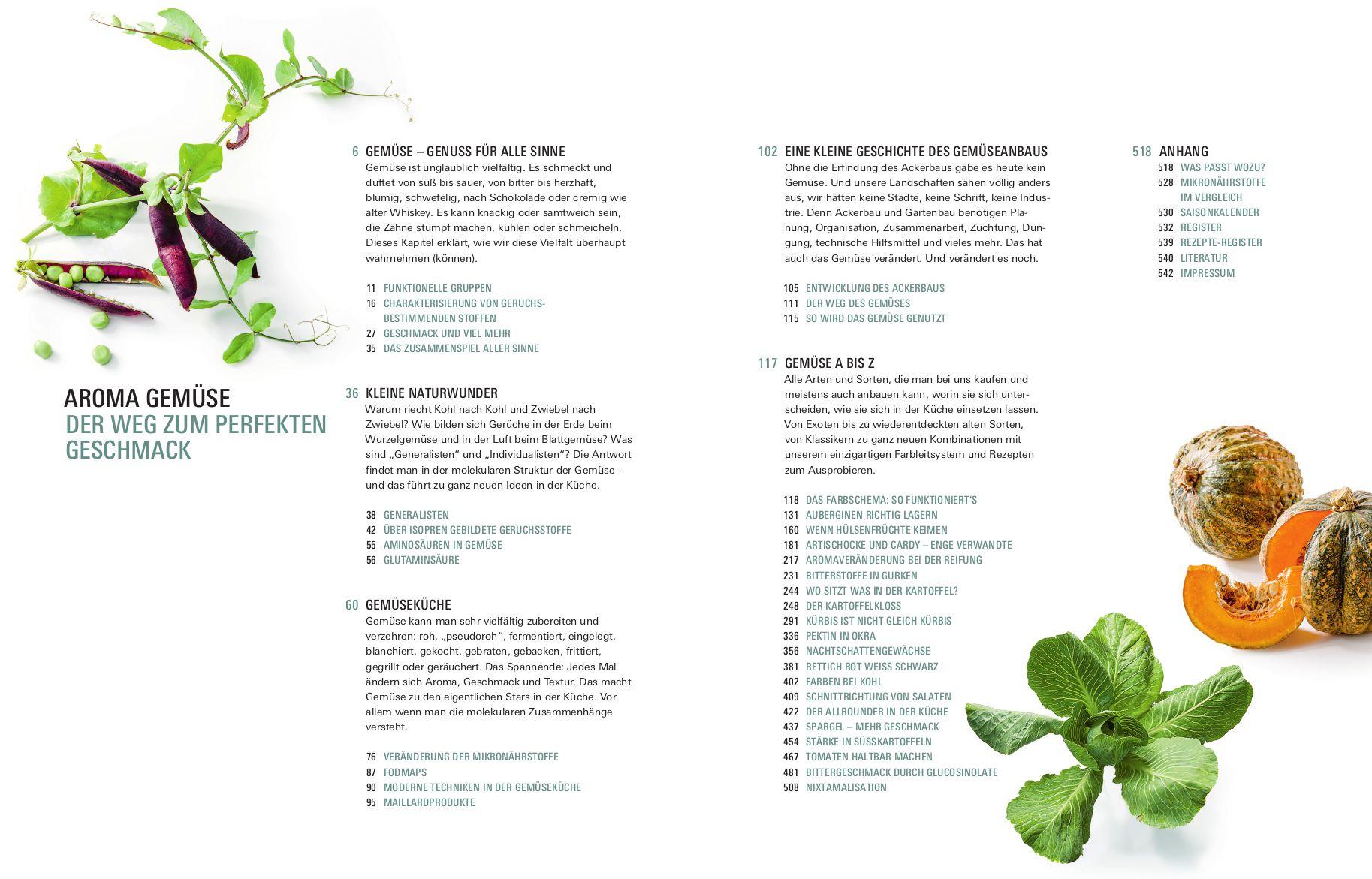 Beispielinhalt (Bild) Aroma Gemüse