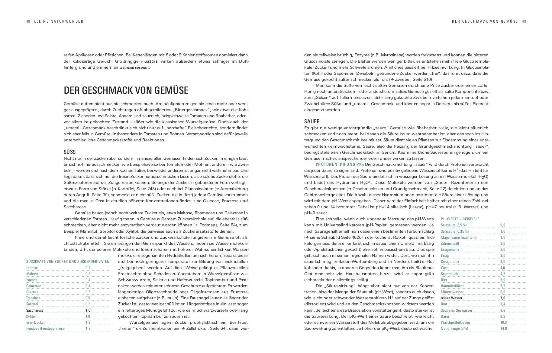 Beispielinhalt (Bild) Aroma Gemüse