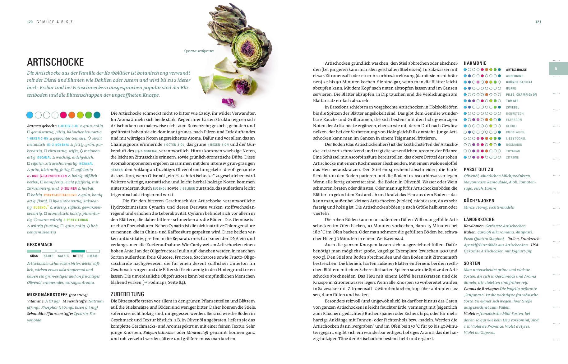 Beispielinhalt (Bild) Aroma Gemüse