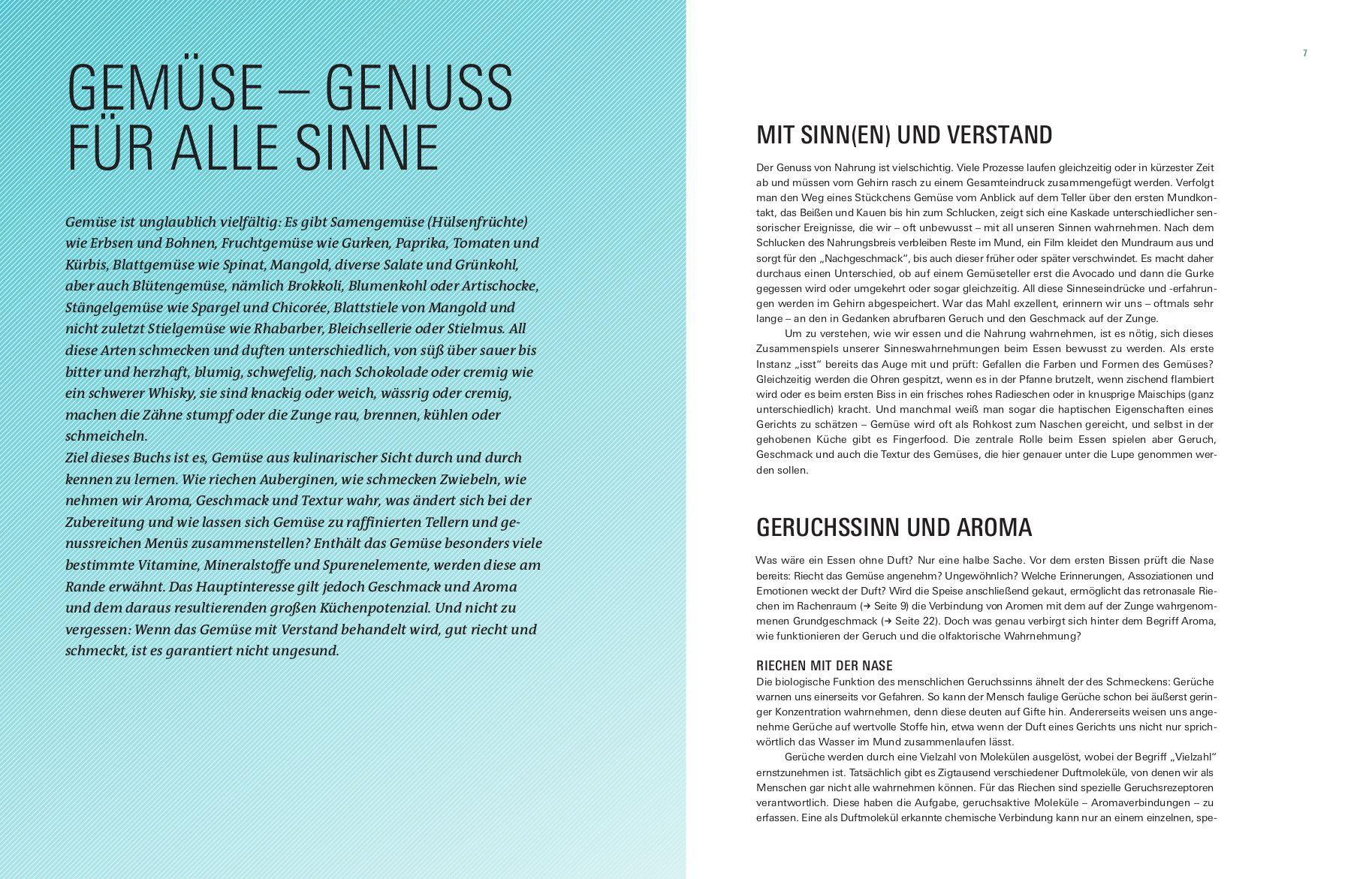 Beispielinhalt (Bild) Aroma Gemüse