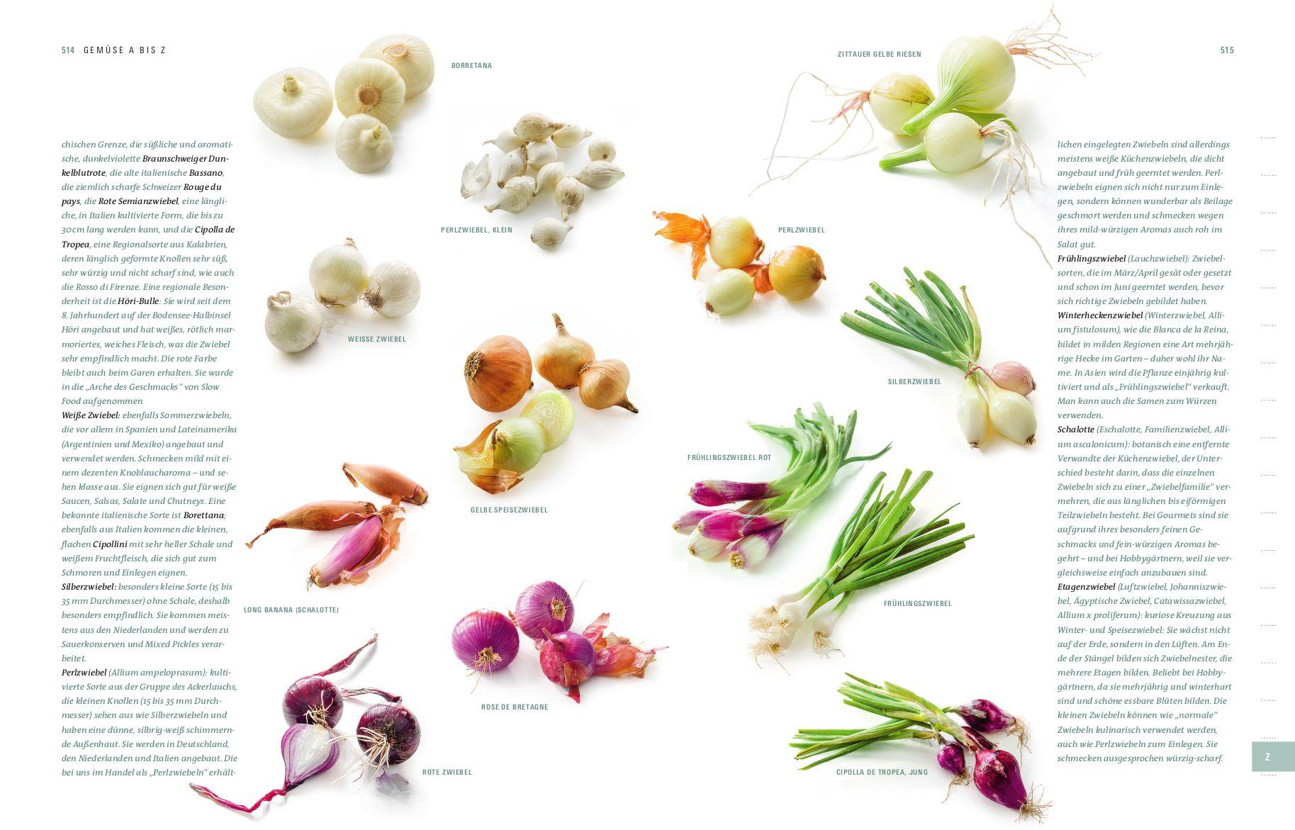 Beispielinhalt (Bild) Aroma Gemüse