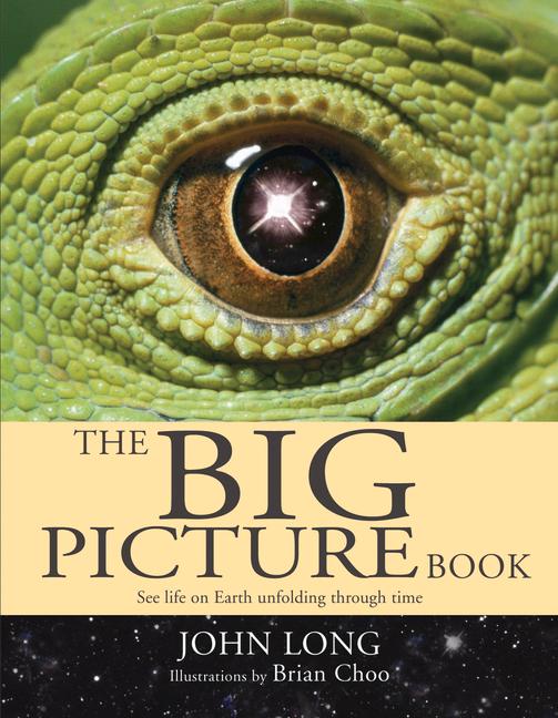 Vorderes Coverbild The Big Picture Book