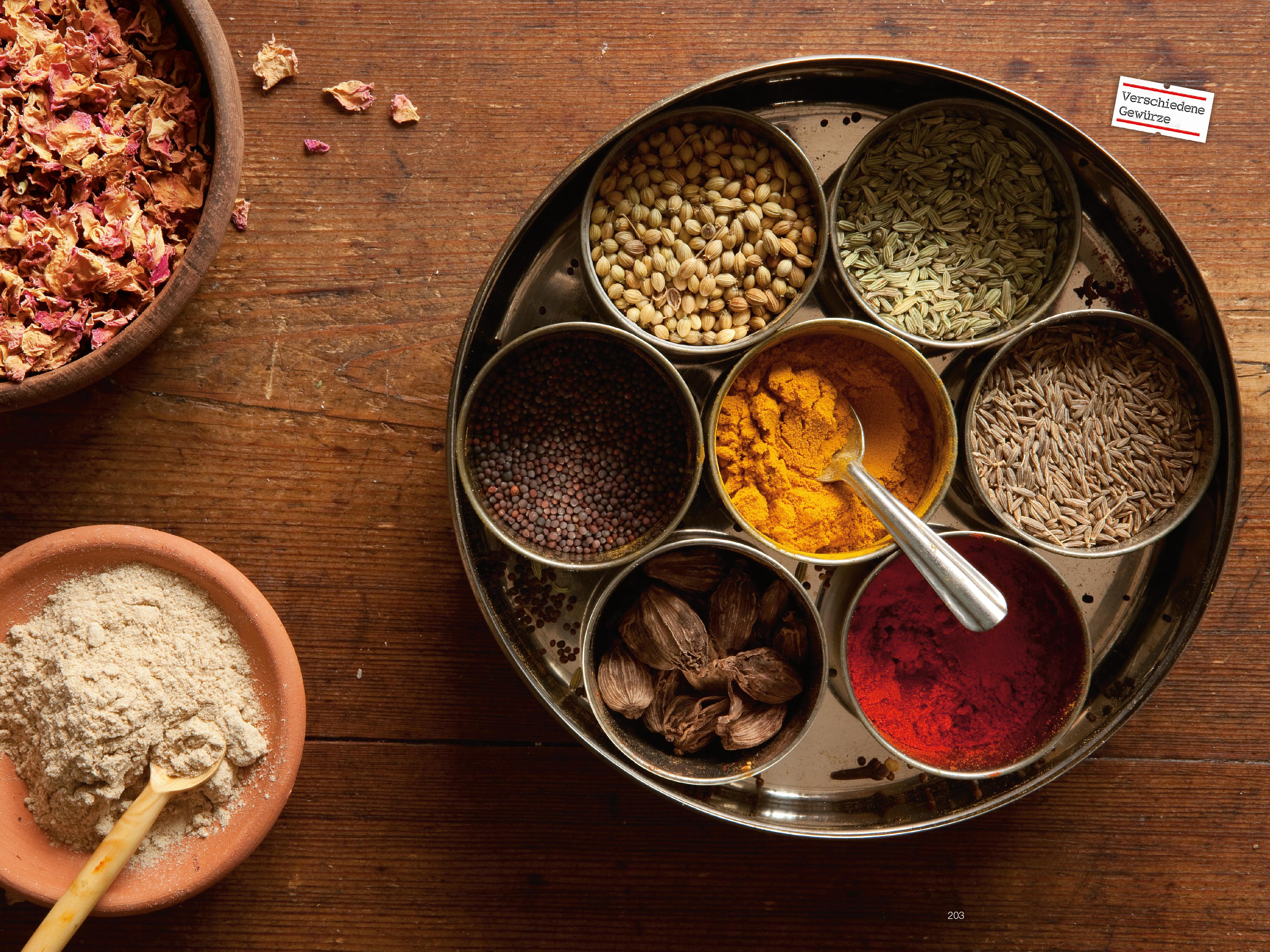 Beispielinhalt (Bild) Indien - Das Kochbuch