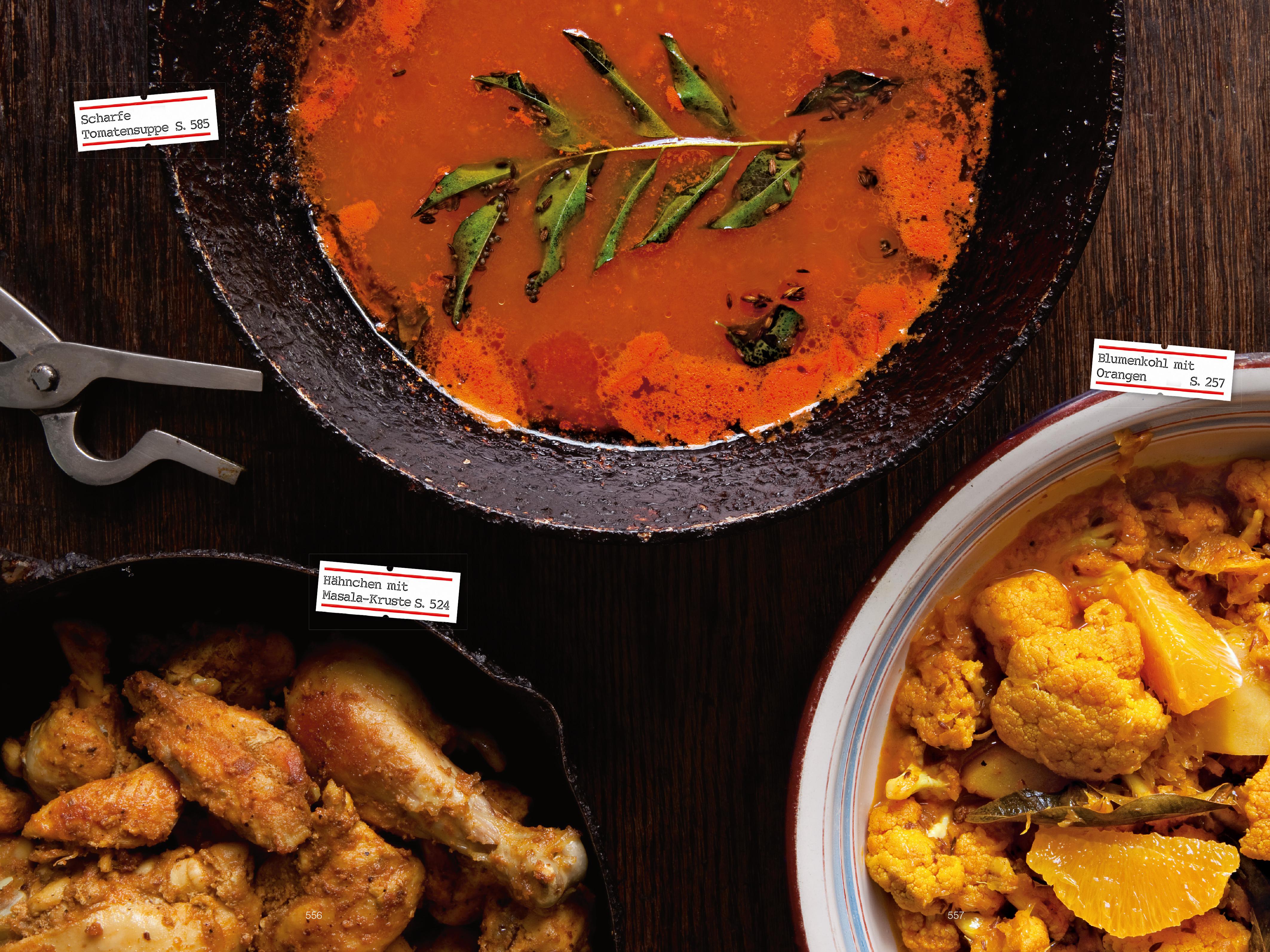 Beispielinhalt (Bild) Indien - Das Kochbuch