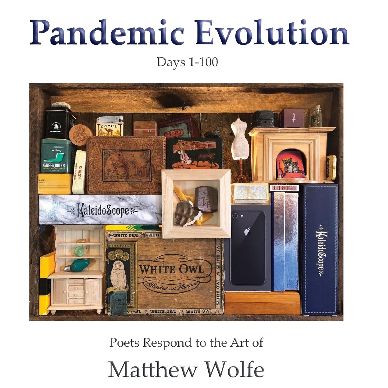 Vorderes Coverbild Pandemic Evolution