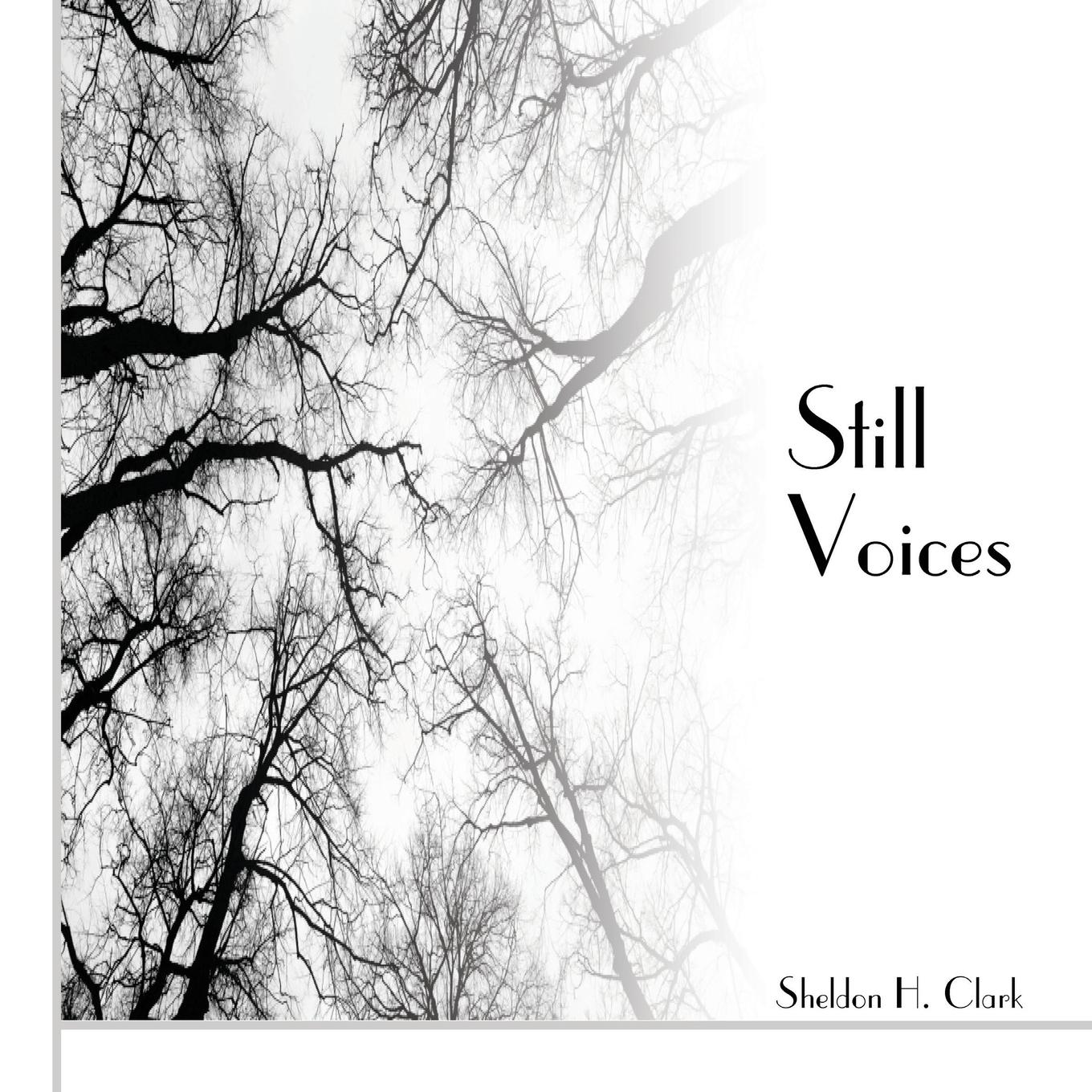 Vorderes Coverbild Still Voices