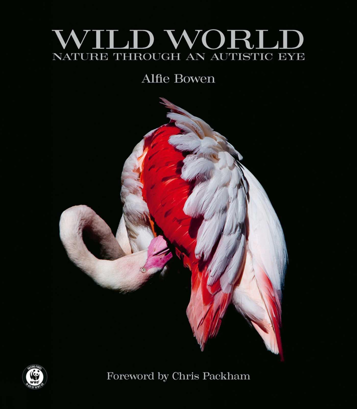 Vorderes Coverbild Wild World