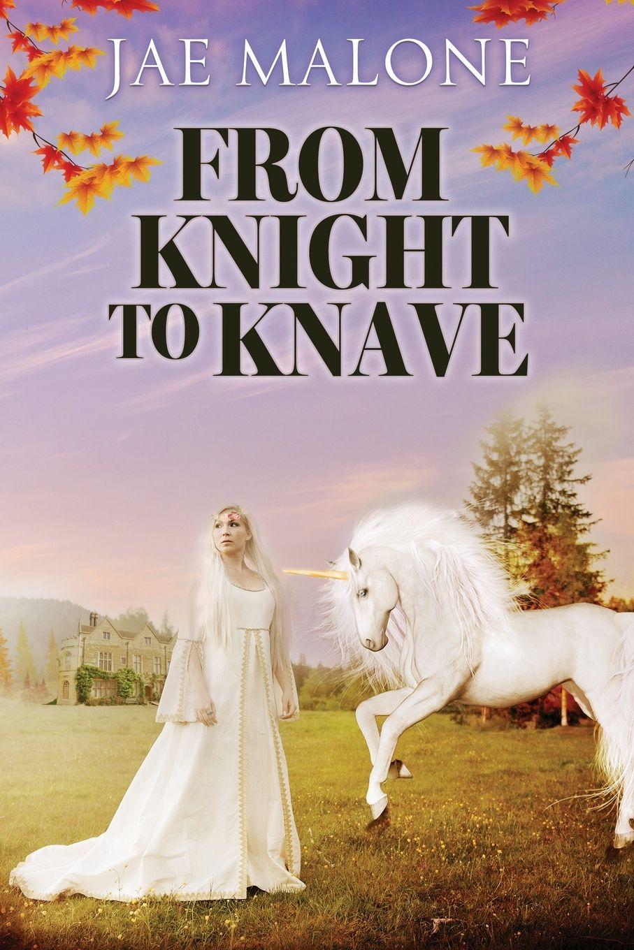 Vorderes Coverbild From Knight to Knave