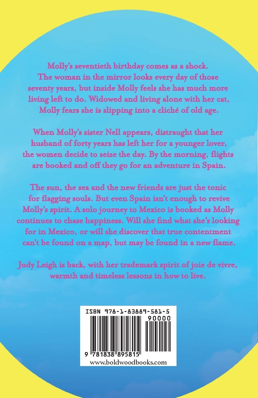 Rückseitencover Chasing the Sun