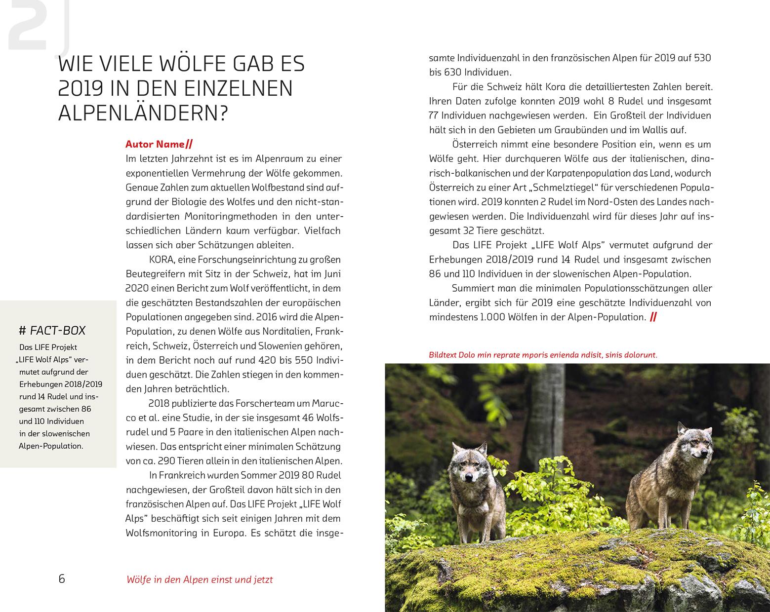 Beispielinhalt (Bild) Der Wolf im Visier - Konflikte und Lösungsansätze