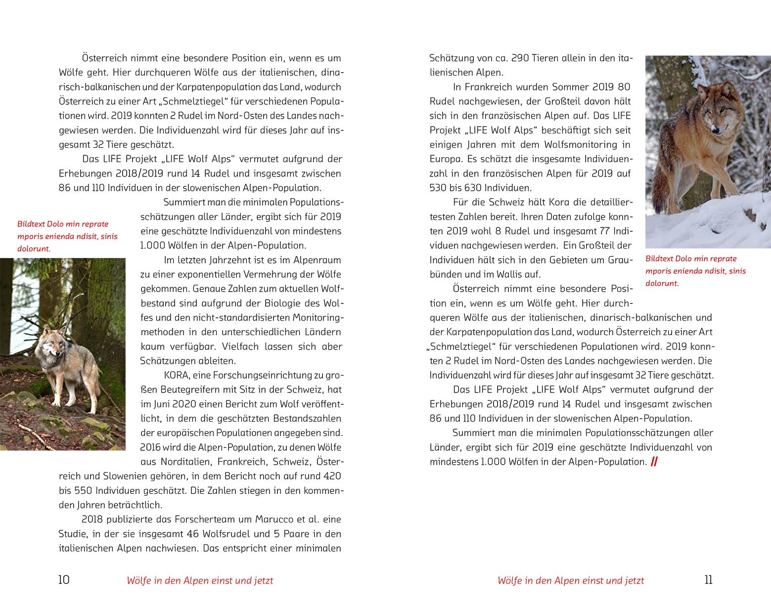 Beispielinhalt (Bild) Der Wolf im Visier - Konflikte und Lösungsansätze