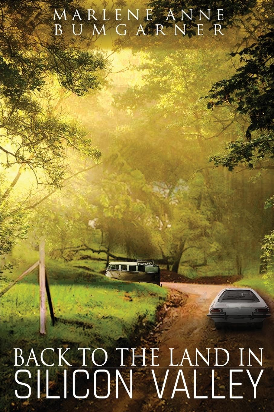 Vorderes Coverbild Back to the Land in Silicon Valley