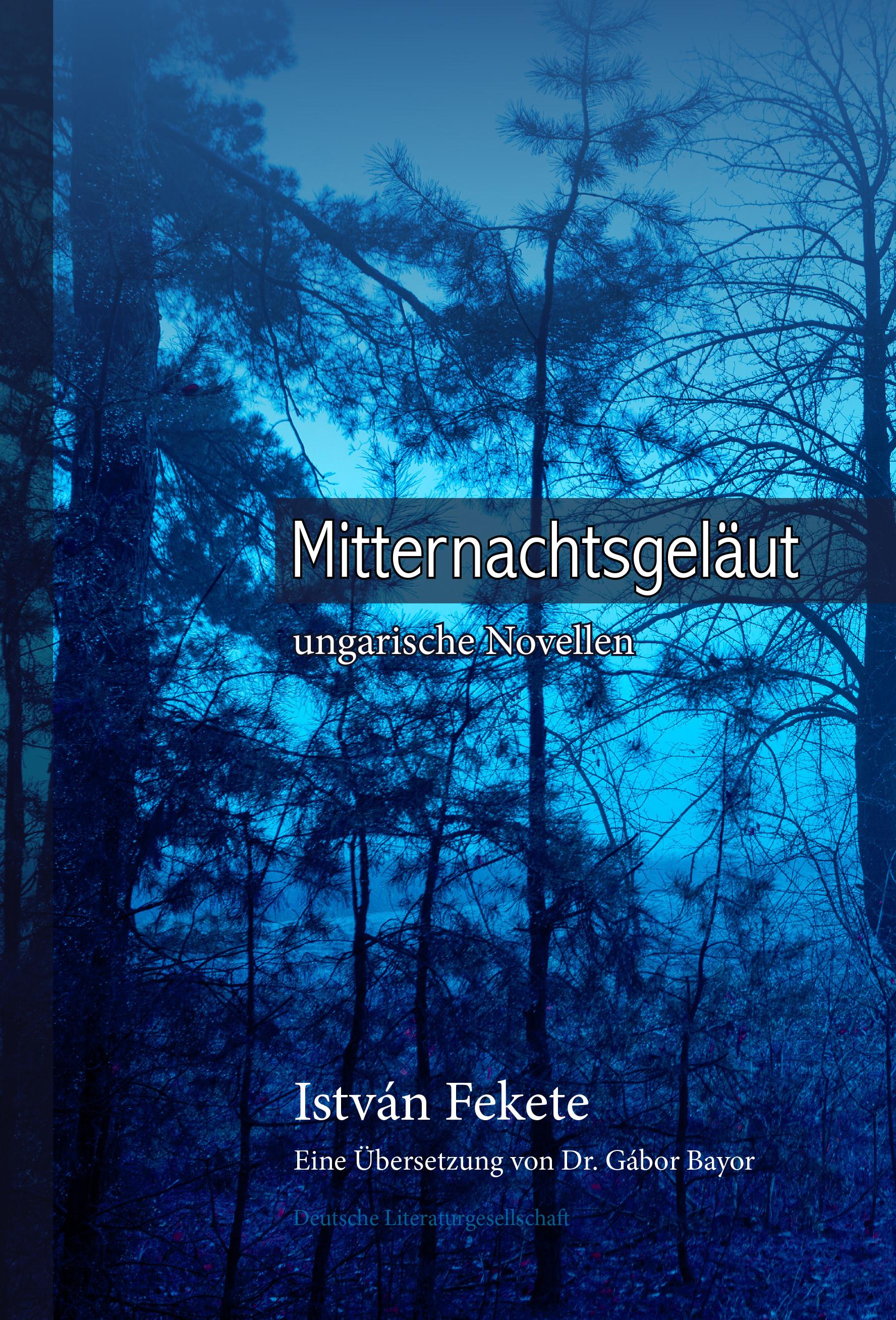 Vorderes Coverbild Mitternachtsgeläut