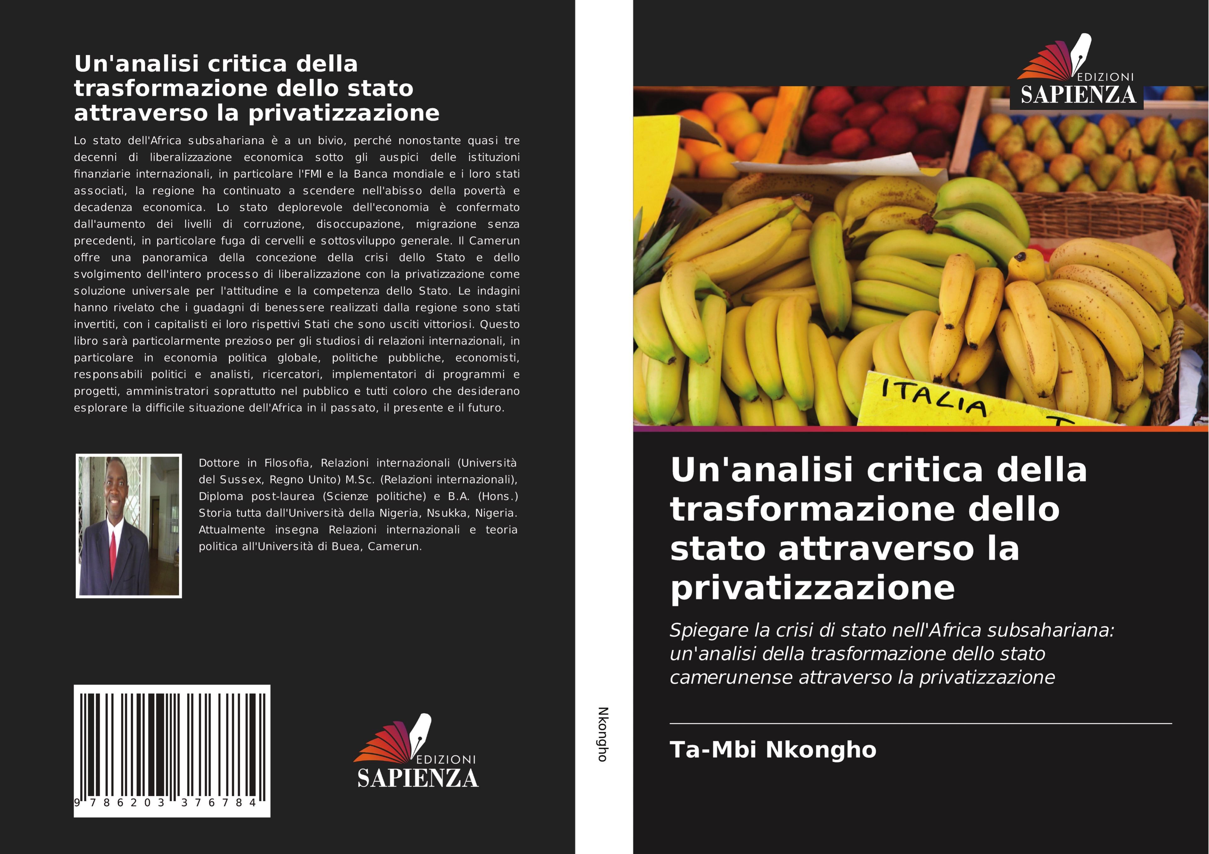 Vorderes Coverbild Un'analisi critica della trasformazione dello stato attraverso la privatizzazione