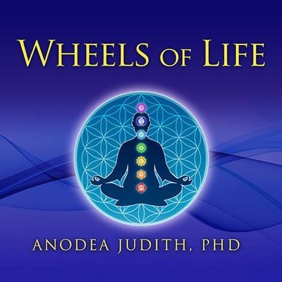 Vorderes Coverbild Wheels of Life: A User's Guide to the Chakra System