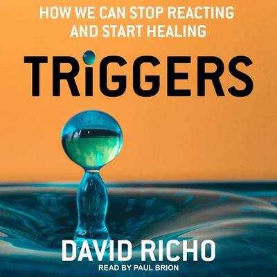 Vorderes Coverbild Triggers Lib/E: How We Can Stop Reacting and Start Healing