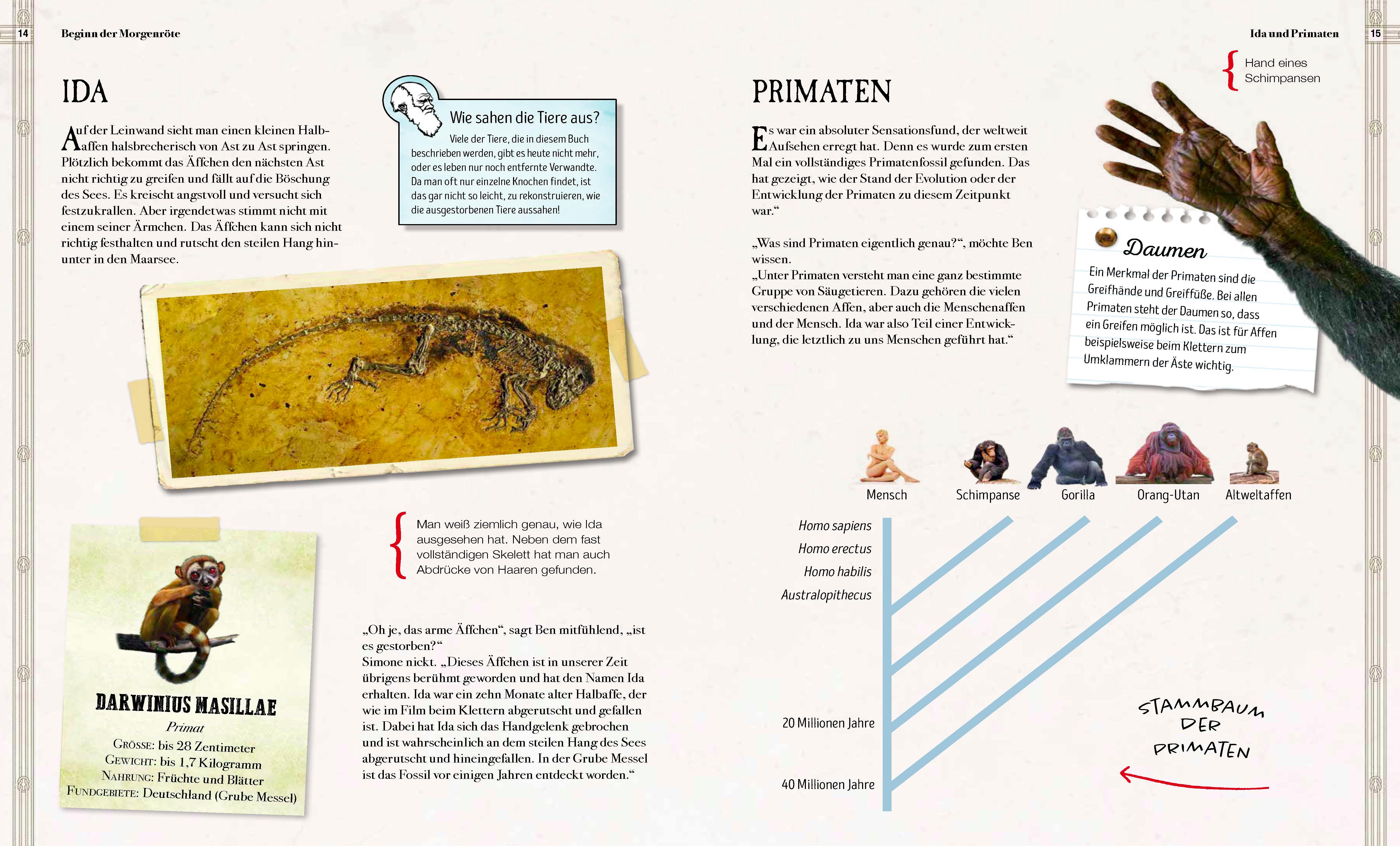 Beispielinhalt (Bild) Verborgene Welt der Megafauna