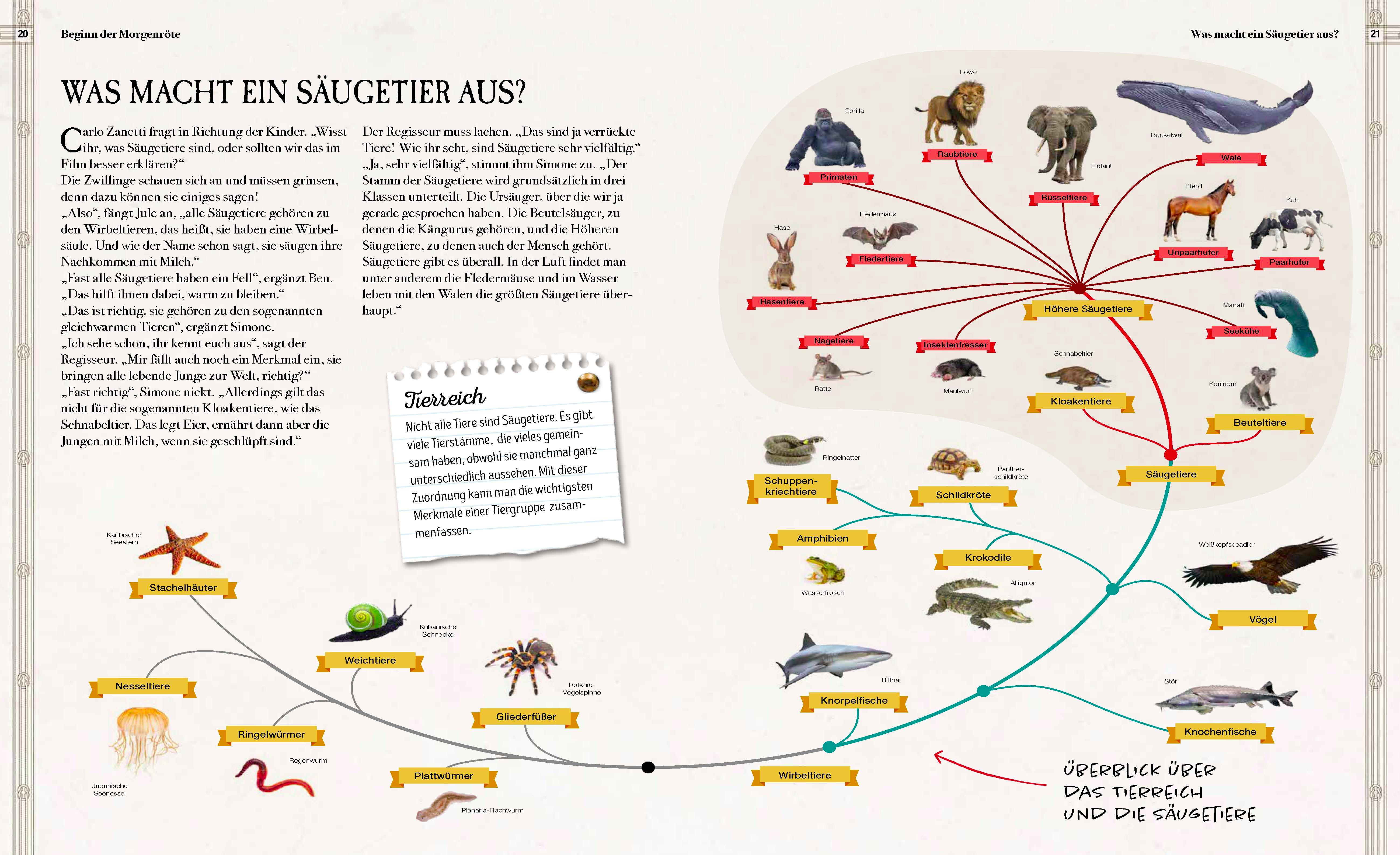 Beispielinhalt (Bild) Verborgene Welt der Megafauna