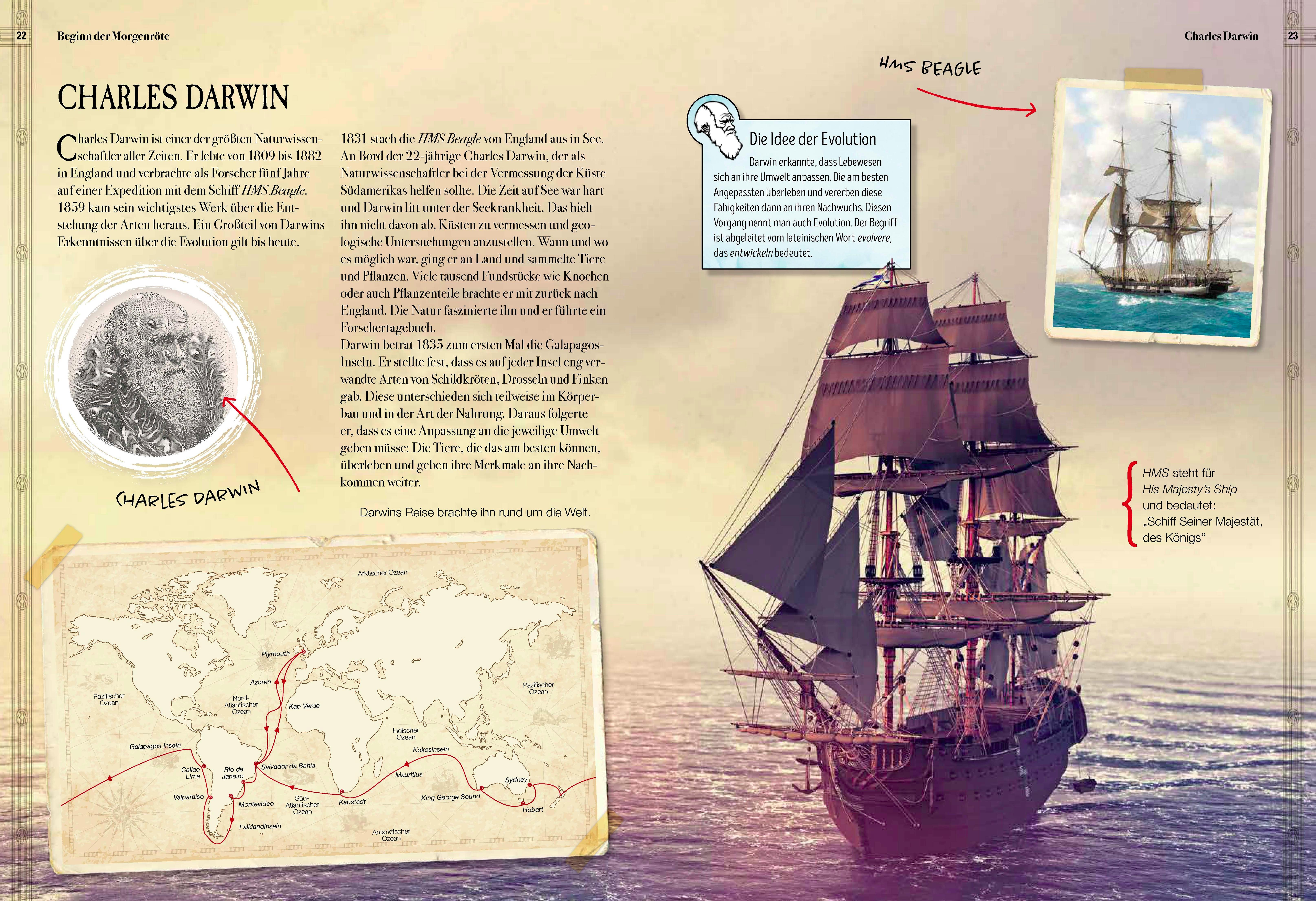 Beispielinhalt (Bild) Verborgene Welt der Megafauna