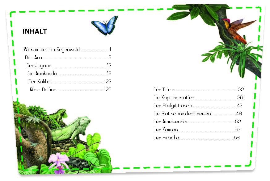 Beispielinhalt (Bild) Bunter Regenwald