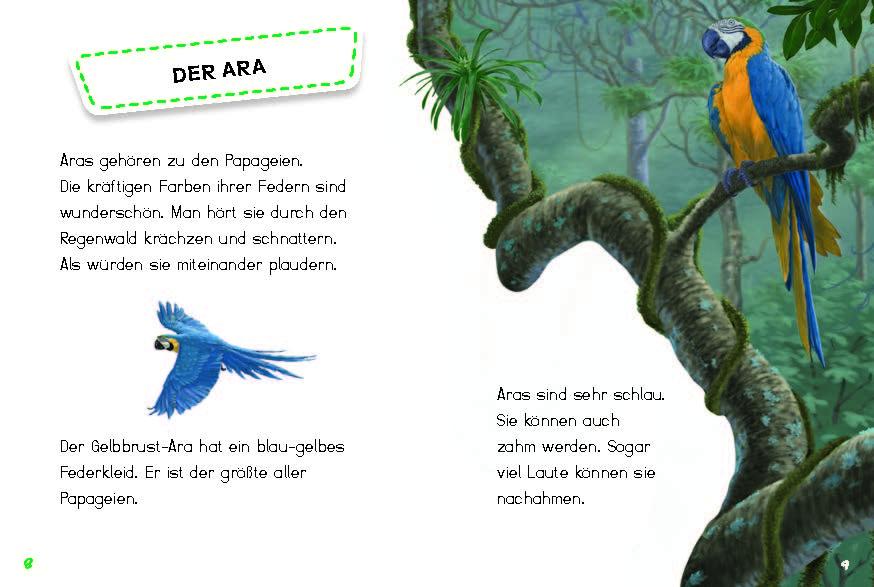 Beispielinhalt (Bild) Bunter Regenwald