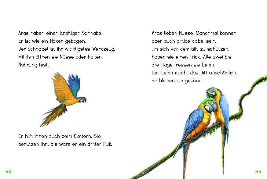 Beispielinhalt (Bild) Bunter Regenwald