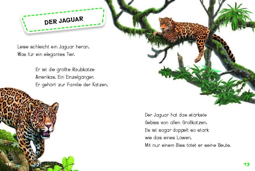 Beispielinhalt (Bild) Bunter Regenwald