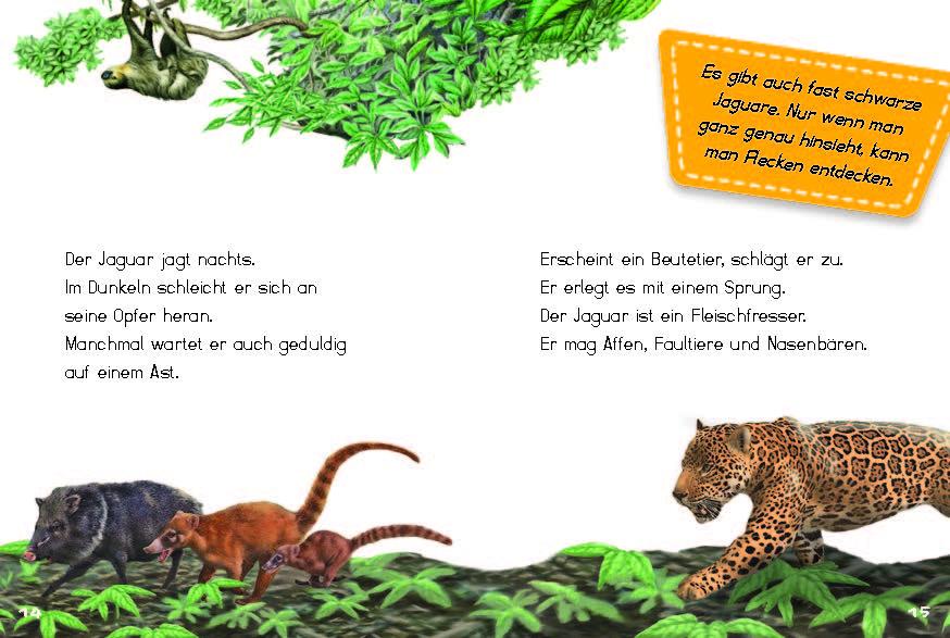 Beispielinhalt (Bild) Bunter Regenwald