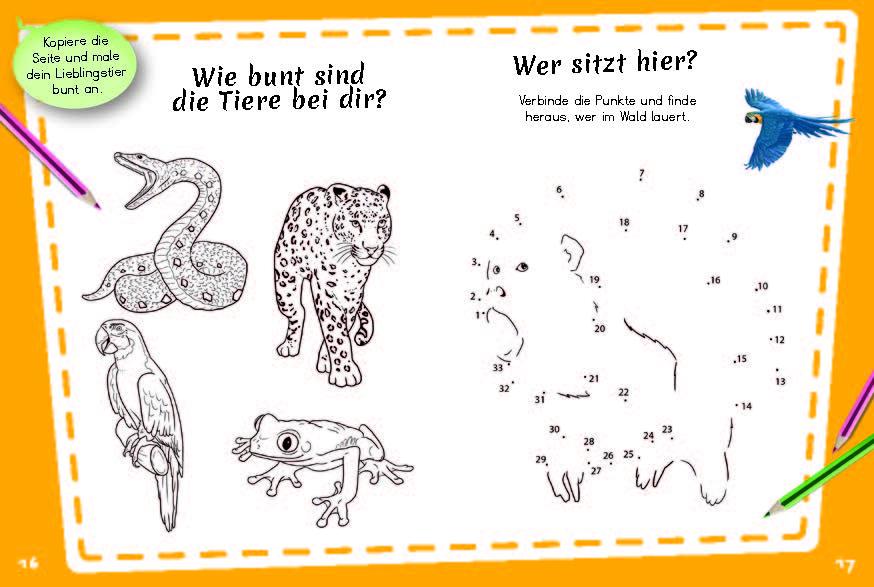 Beispielinhalt (Bild) Bunter Regenwald