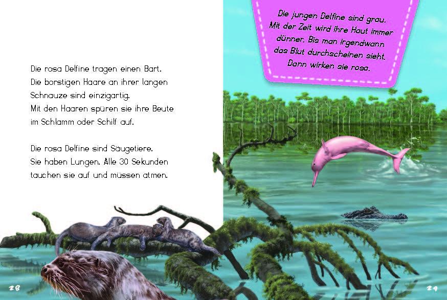 Beispielinhalt (Bild) Bunter Regenwald