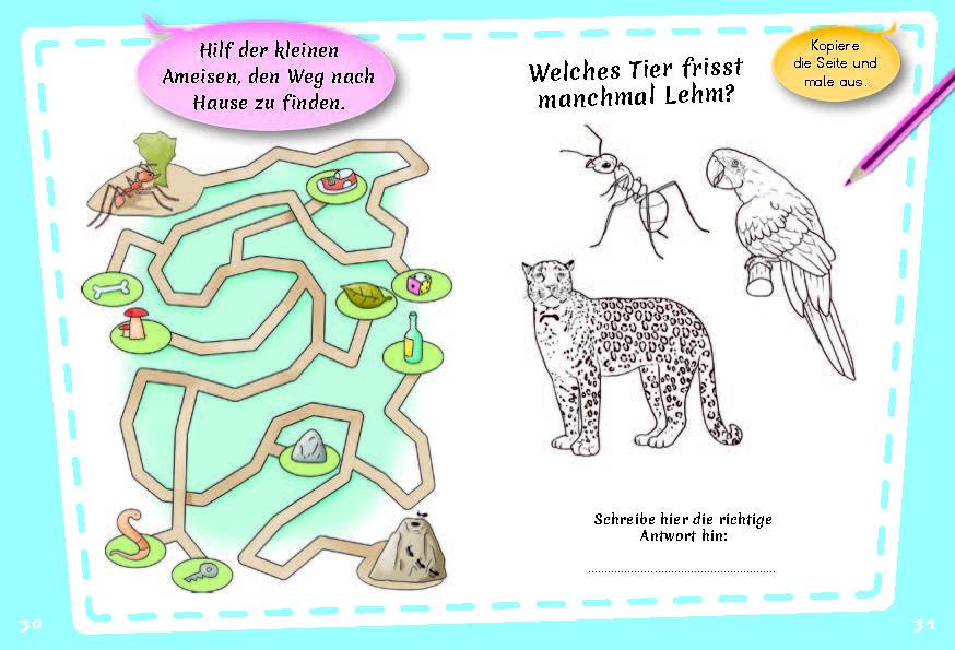 Beispielinhalt (Bild) Bunter Regenwald