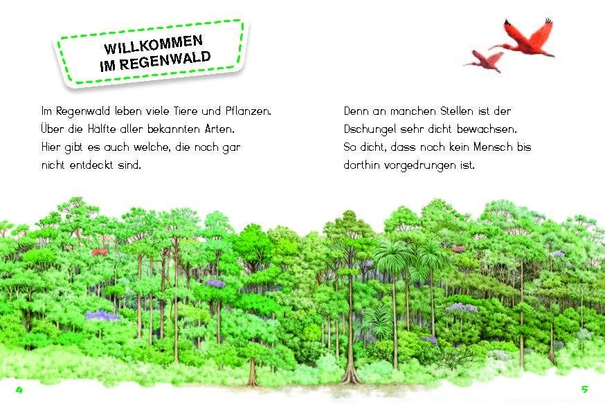 Beispielinhalt (Bild) Bunter Regenwald