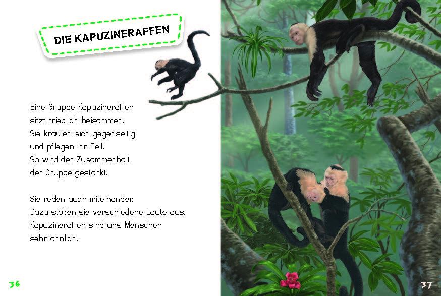 Beispielinhalt (Bild) Bunter Regenwald