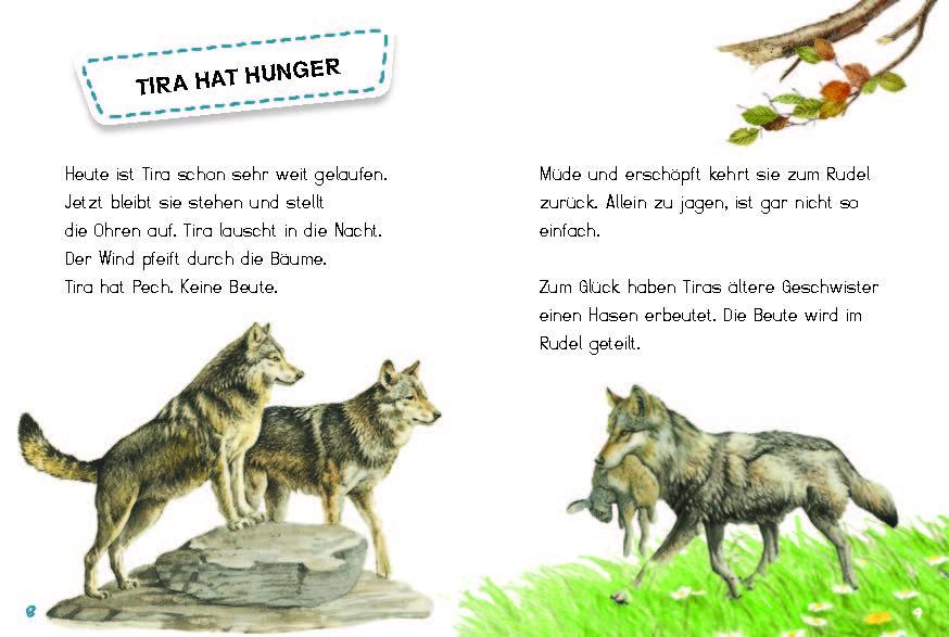 Beispielinhalt (Bild) Tira, die junge Wölfin