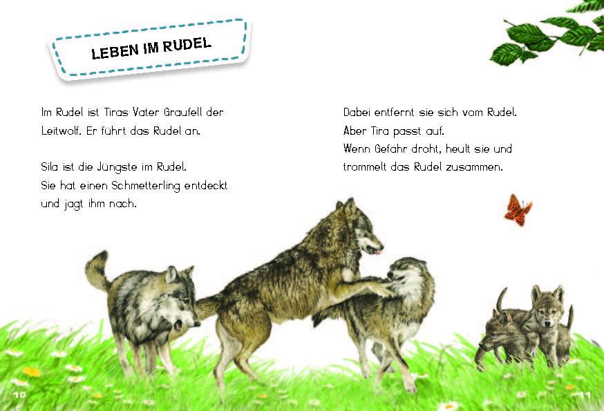 Beispielinhalt (Bild) Tira, die junge Wölfin