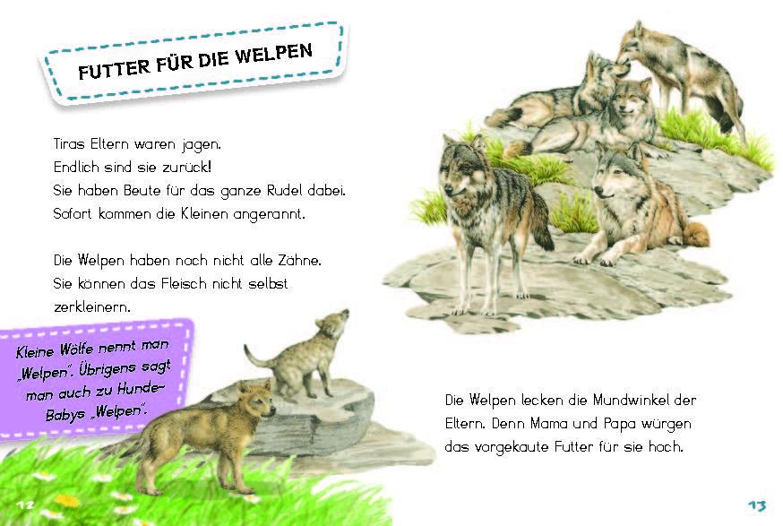 Beispielinhalt (Bild) Tira, die junge Wölfin