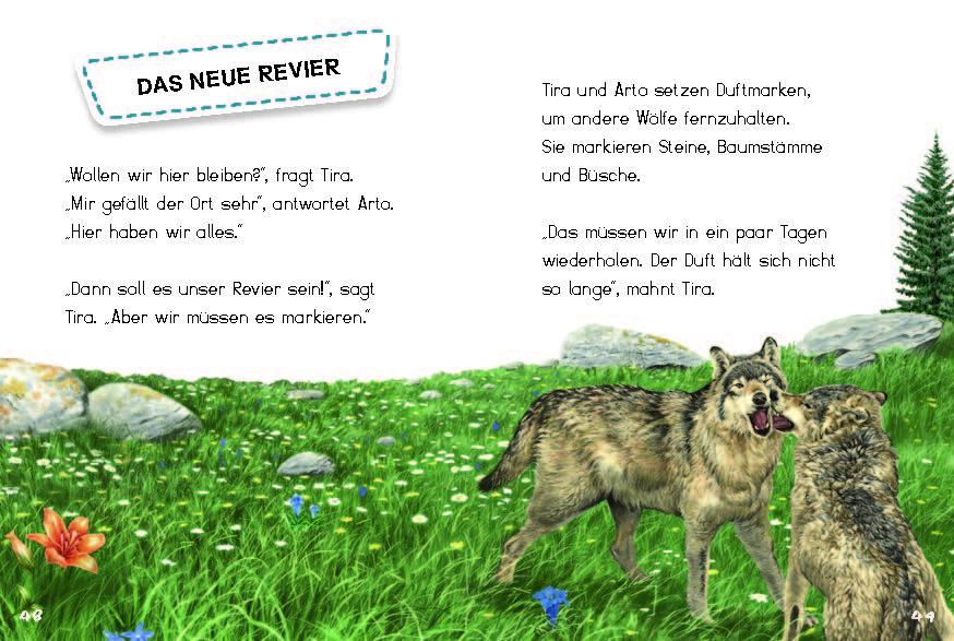 Beispielinhalt (Bild) Tira, die junge Wölfin