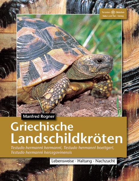 Vorderes Coverbild Griechische Landschildkröten