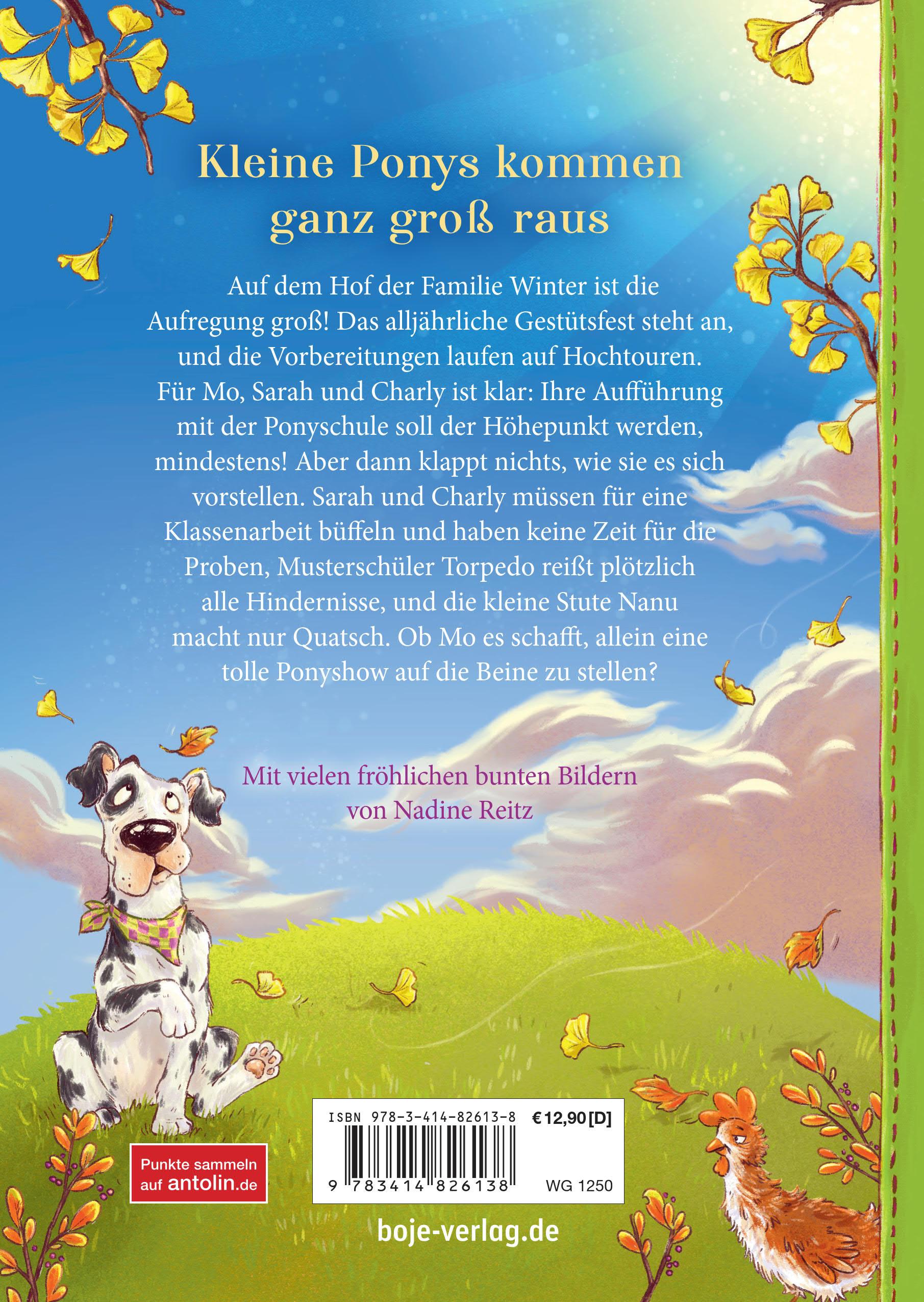 Beispielinhalt (Bild) Die Schule der kleinen Ponys