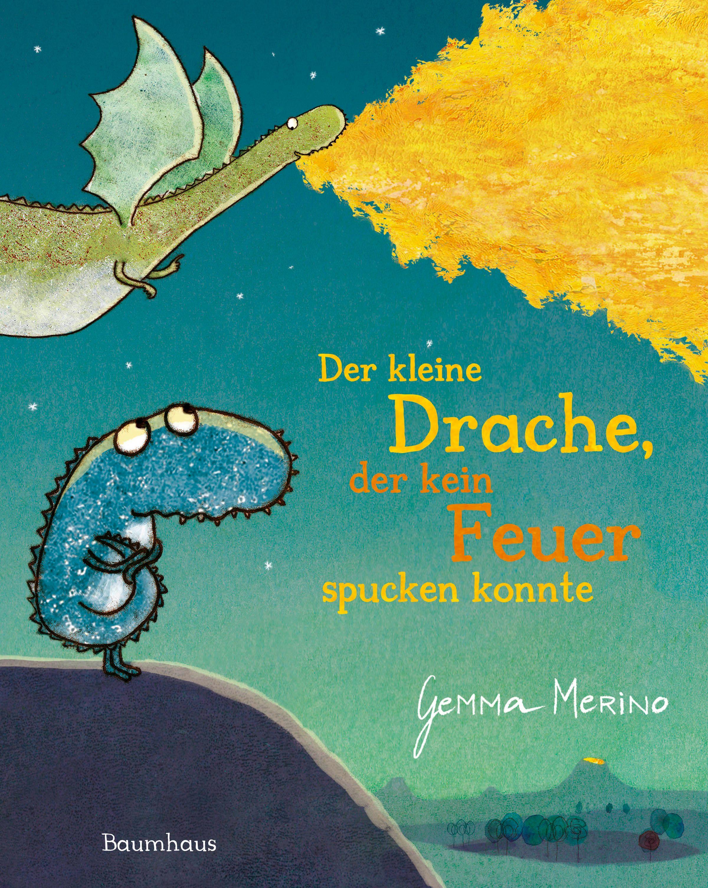 Vorderes Coverbild Der kleine Drache, der kein Feuer spucken konnte
