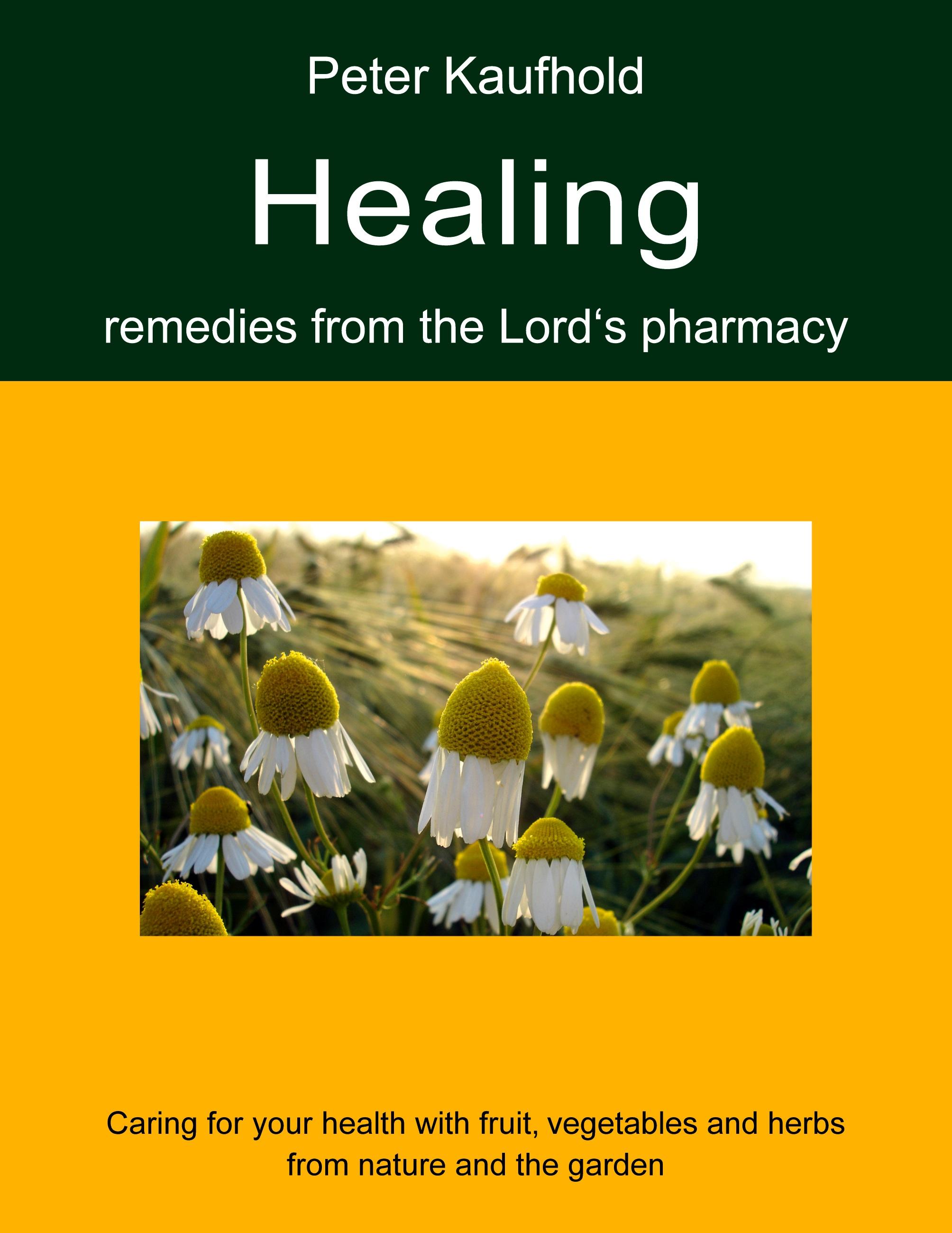 Vorderes Coverbild Healing remedies from the Lord's pharmacy - Volume 1