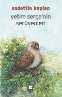 Vorderes Coverbild Yetim Sercenin Serüveni