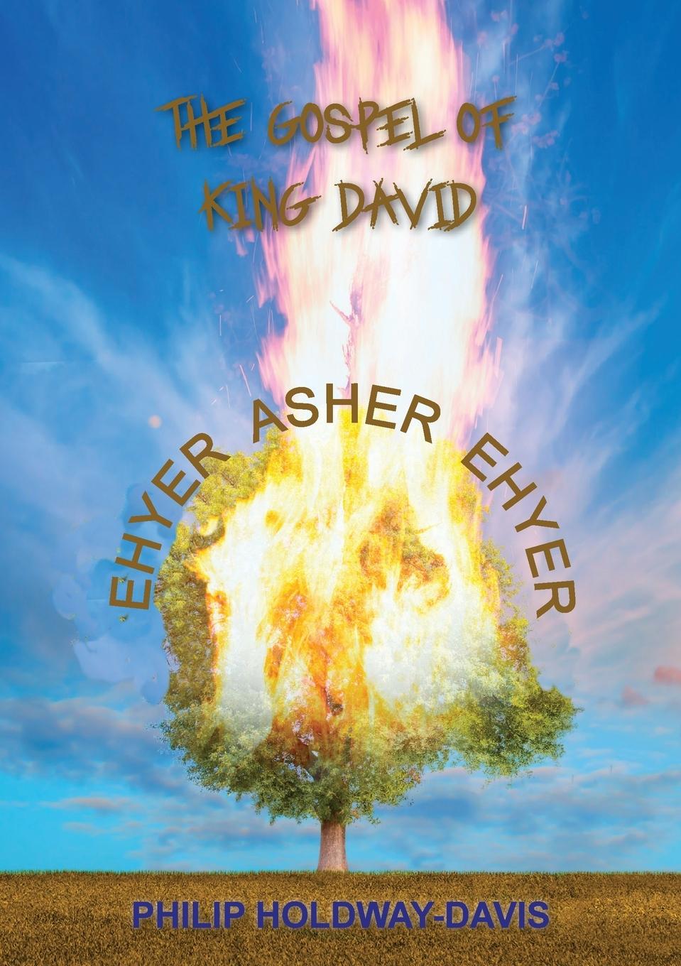 Vorderes Coverbild The Gospel of King David