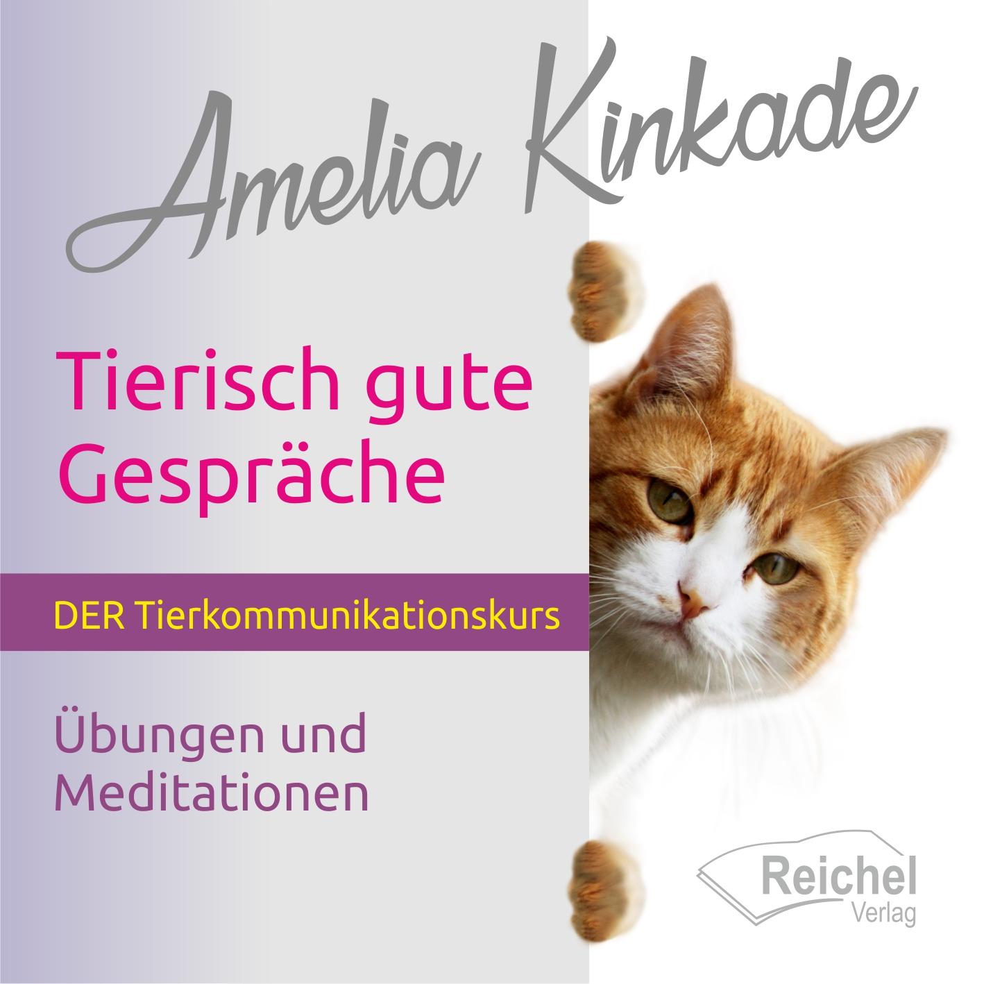 Vorderes Coverbild Tierisch gute Gespräche