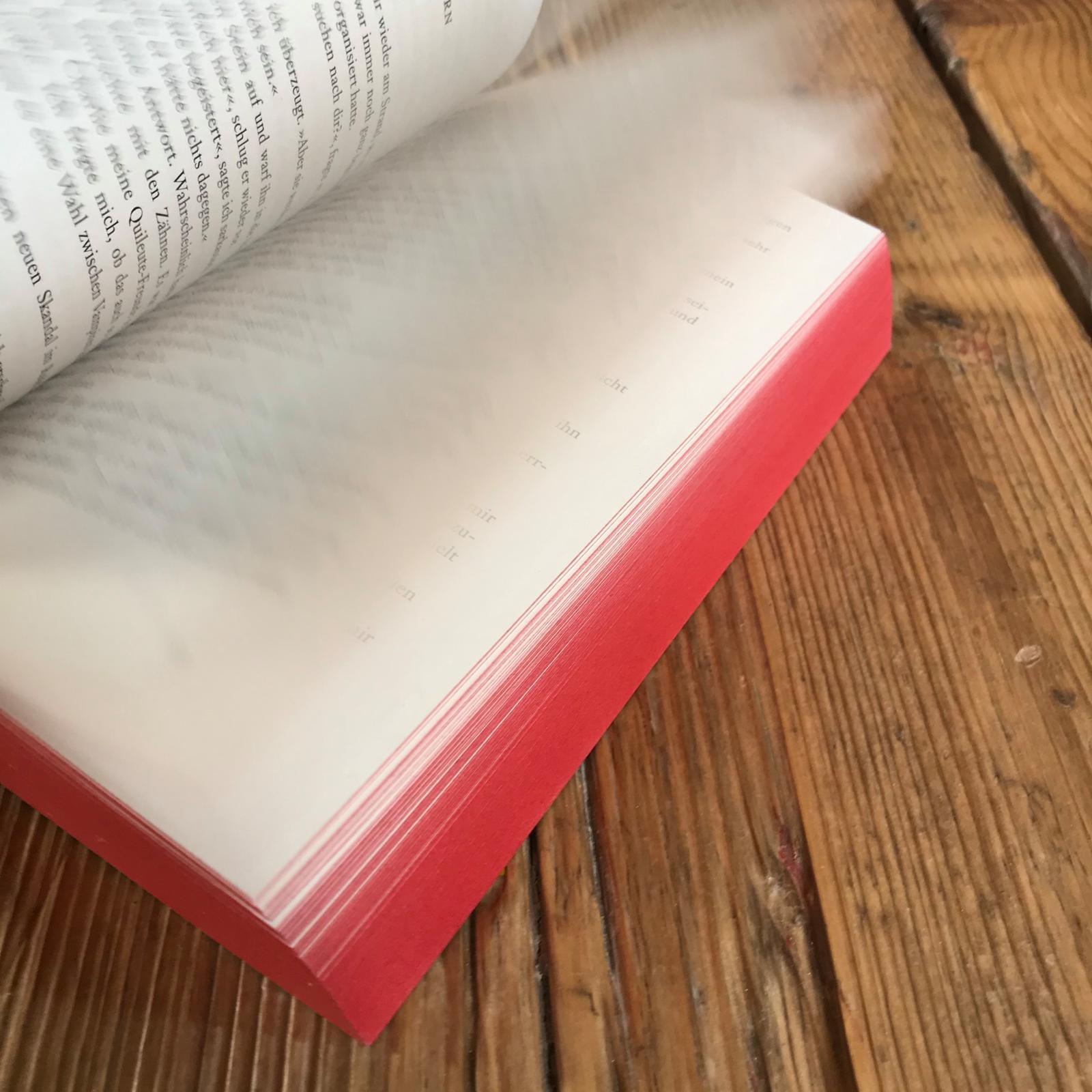 Beispielinhalt (Bild) Biss zum Abendrot (Bella und Edward 3)