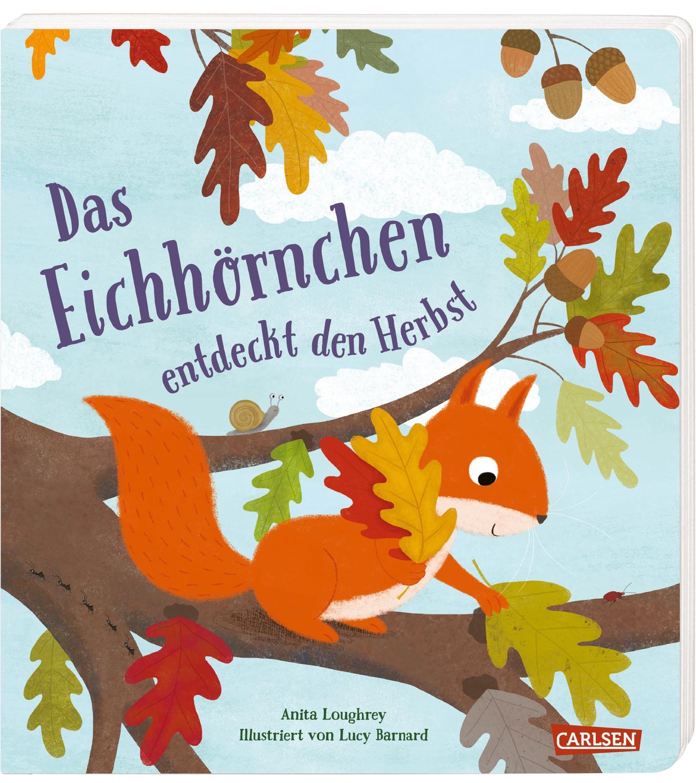 Vorderes Coverbild Das Eichhörnchen entdeckt den Herbst