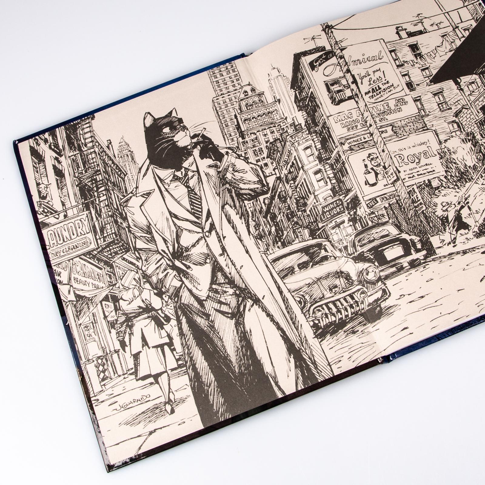 Beispielinhalt (Bild) Blacksad 6: Wenn alles fällt - Teil 1