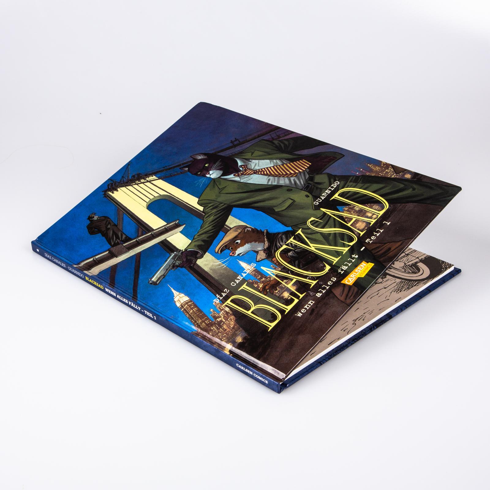 Beispielinhalt (Bild) Blacksad 6: Wenn alles fällt - Teil 1